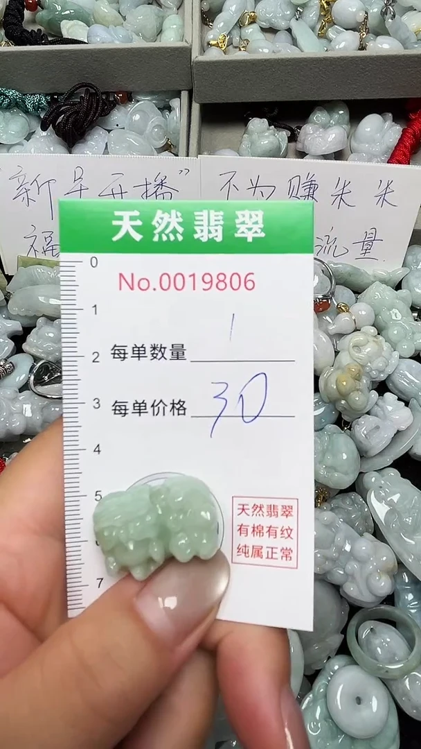 翡翠未镶嵌吊坠(不含链)9806
