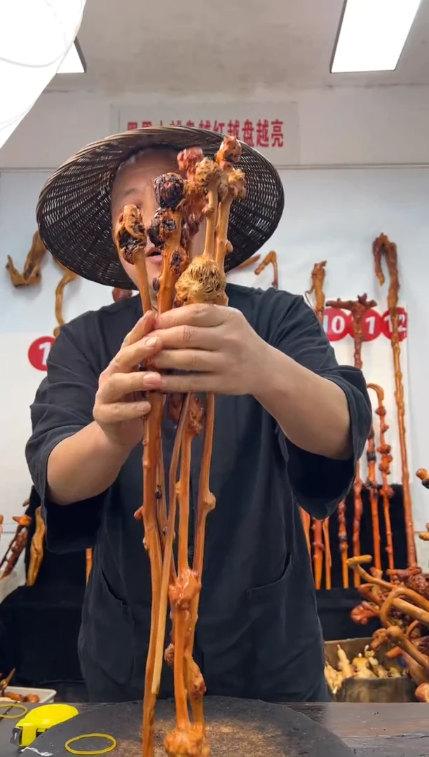 黑果木其他黑果木588