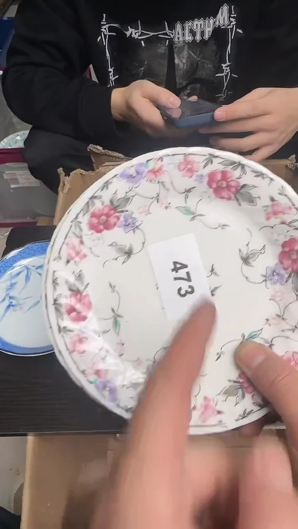 瓷片瓷器瓷器瓷器473