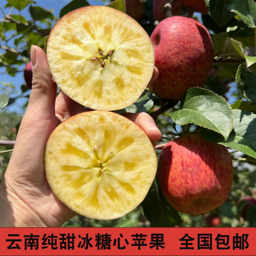 云南丑苹果红富士冰糖心苹果山区种植新鲜苹果冰糖心水果全国包邮