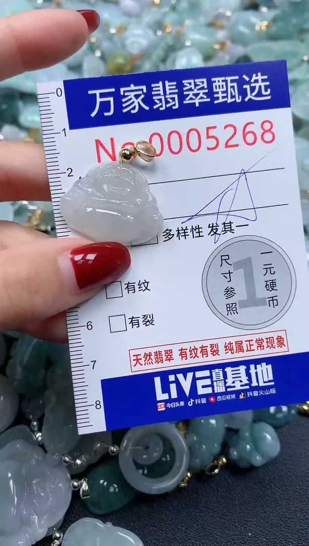 颈饰未镶嵌翡翠5268