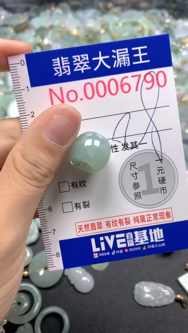 翡翠未镶嵌吊坠(不含链)6790