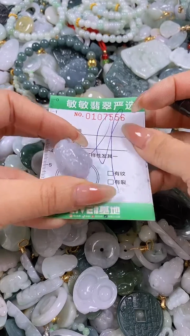 【闪购商品】翡翠颈饰未镶嵌闪购0107556