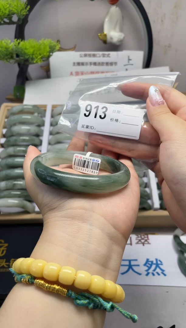 石英质玉（天山翠）手镯未镶嵌913