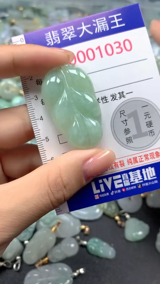 颈饰未镶嵌翡翠1030