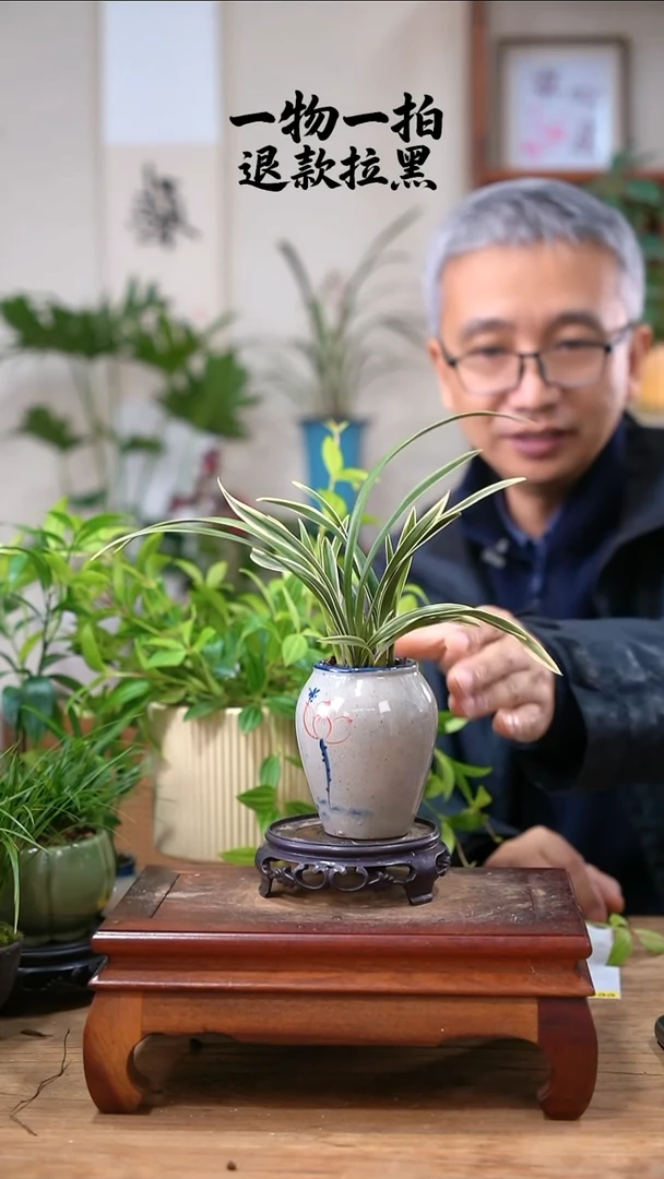 完全开放愿****麼兰花998