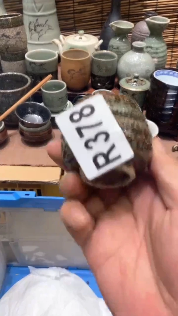 瓷片紫**兰378 紫若幽兰