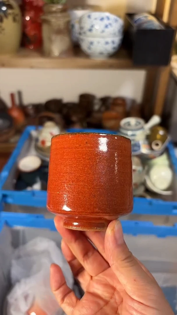 瓷片喵喵家都是大漂亮