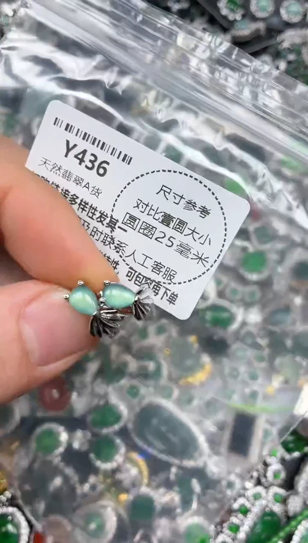 颈饰未镶嵌翡翠Y436耳扣