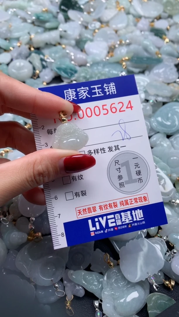 颈饰未镶嵌翡翠5624