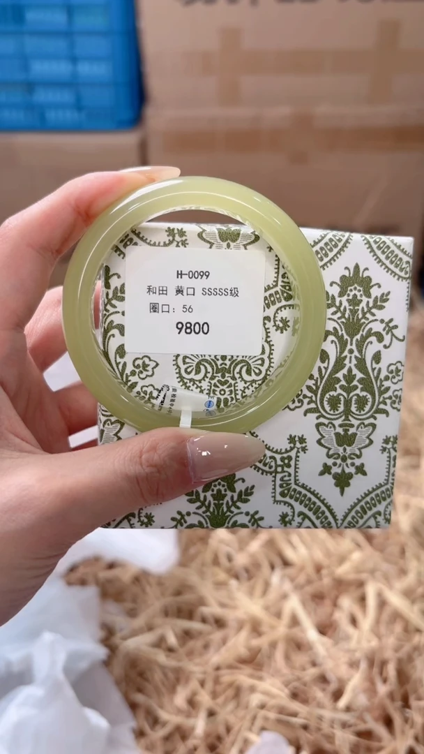 未镶嵌手镯石英质玉H-0099