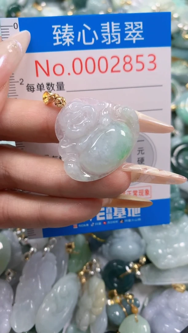 翡翠未镶嵌颈饰含绳0002853
