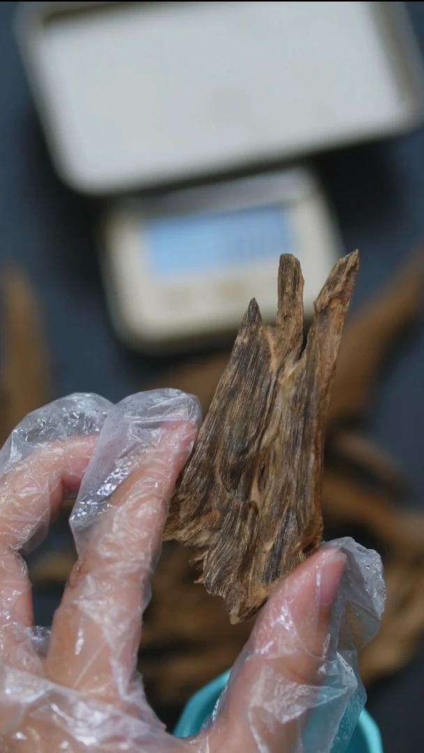 沉香沉香碎屑海南香料6.2克