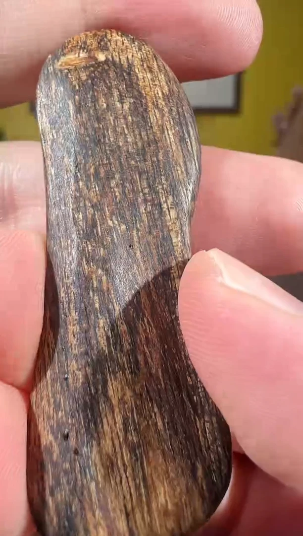 沉香香囊沉香文莱多样性发一