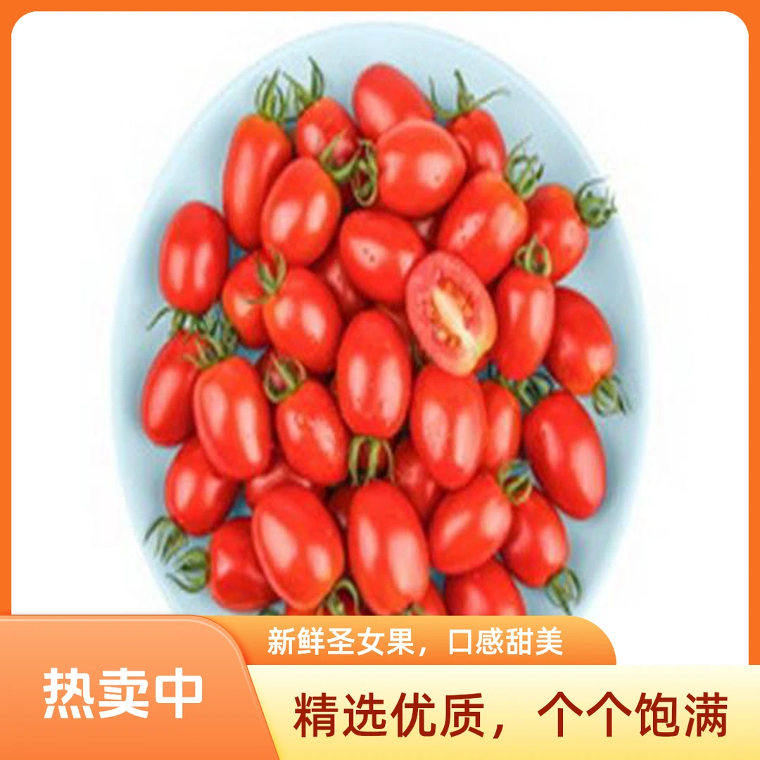 爆汁甜小番茄1千克