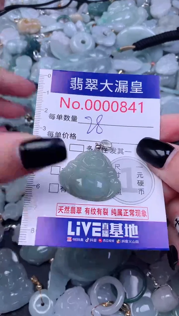 颈饰未镶嵌翡翠841
