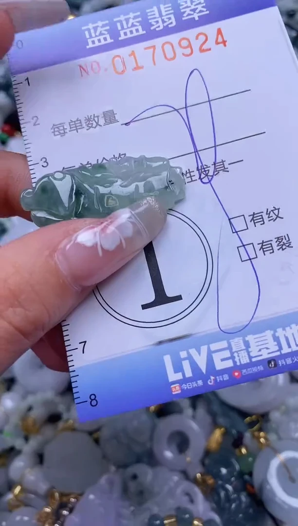 【闪购商品】翡翠颈饰未镶嵌闪购0170924