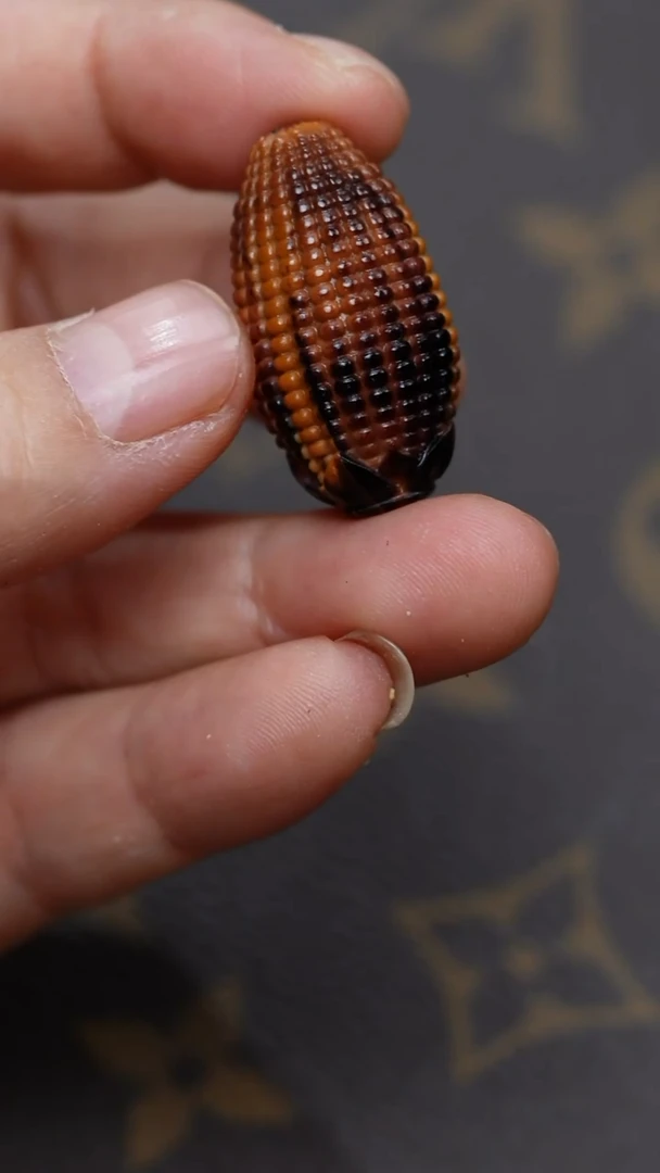 手串/手链橄榄核/橄榄核