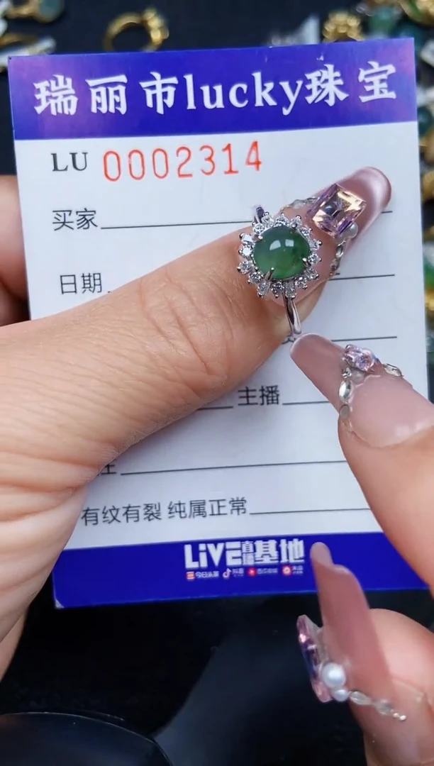 翡翠银S925镶嵌颈饰2314