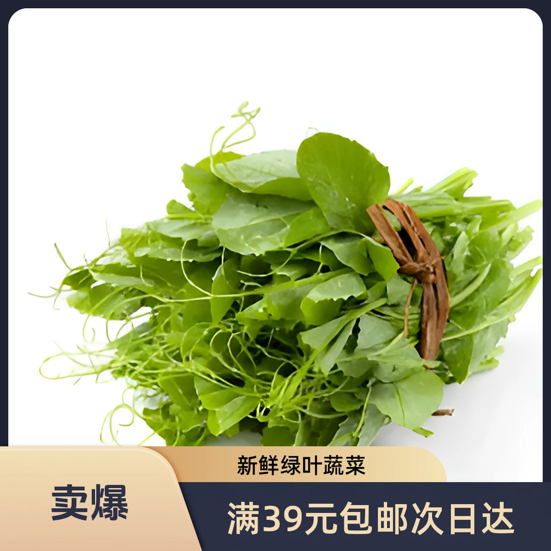 【甄选】豌豆尖300g次日达豌豆尖