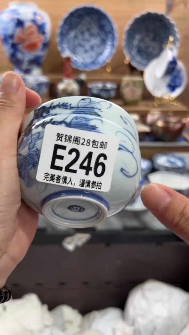 瓷片用****7       E246