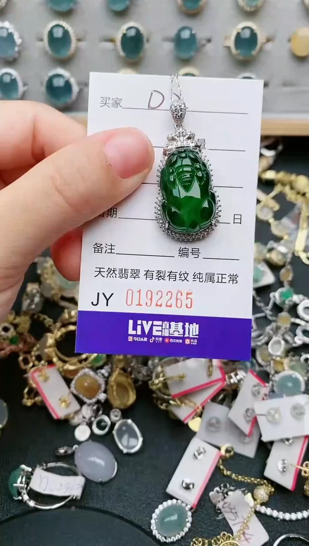 翡翠银S925镶嵌颈饰.....