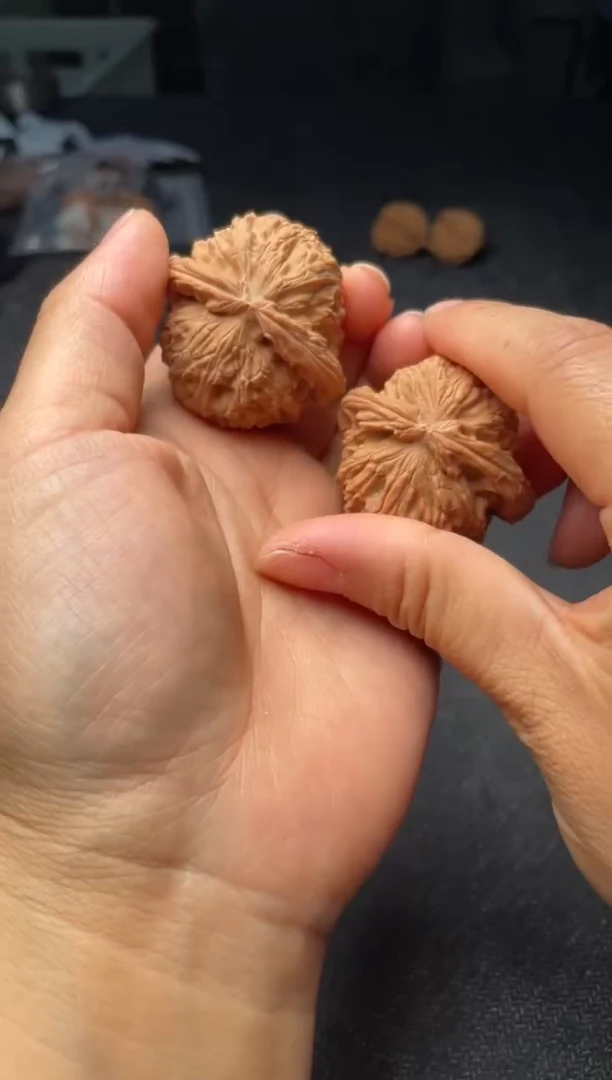 把件文玩核桃W124  白狮子  43