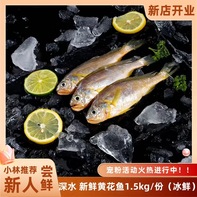 【小林优选】新鲜深水黄花鱼到手冰鲜1.5kg/份鱼眼明亮色香味俱全