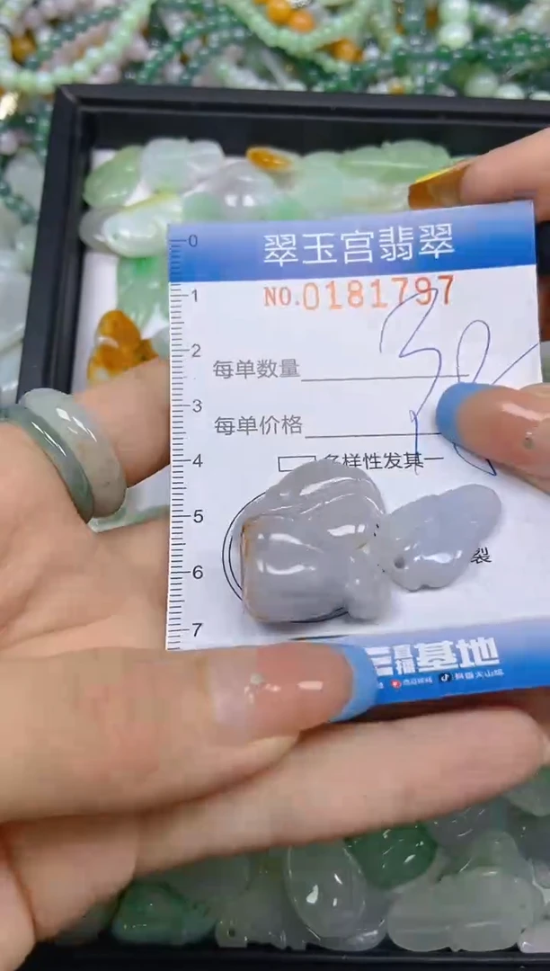 翡翠未镶嵌颈饰闪购0181797