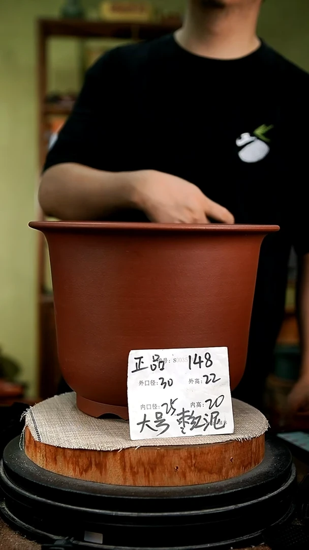 紫砂花盆花卉园艺148