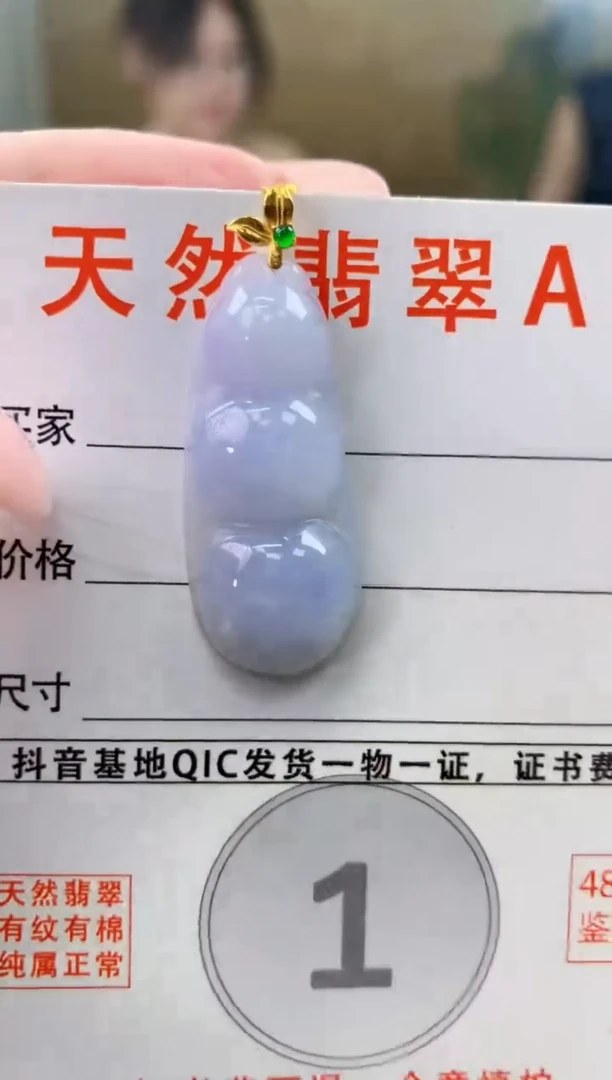 颈饰未镶嵌翡翠天然A货翡翠挂件