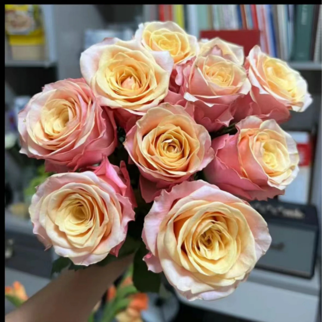 【格兰夫人】四季灌木