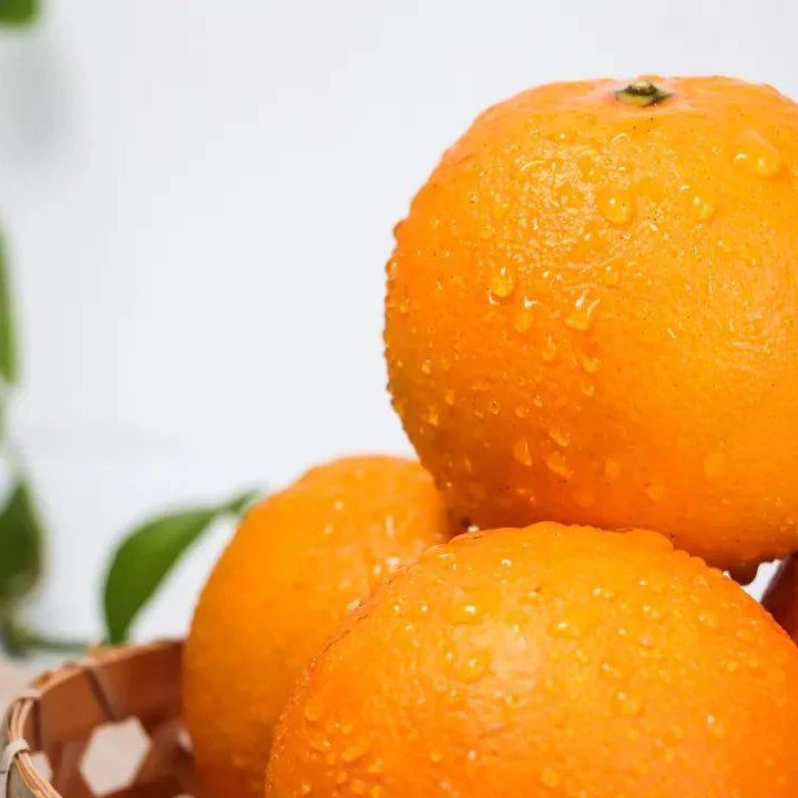 金钻橙约500g/份