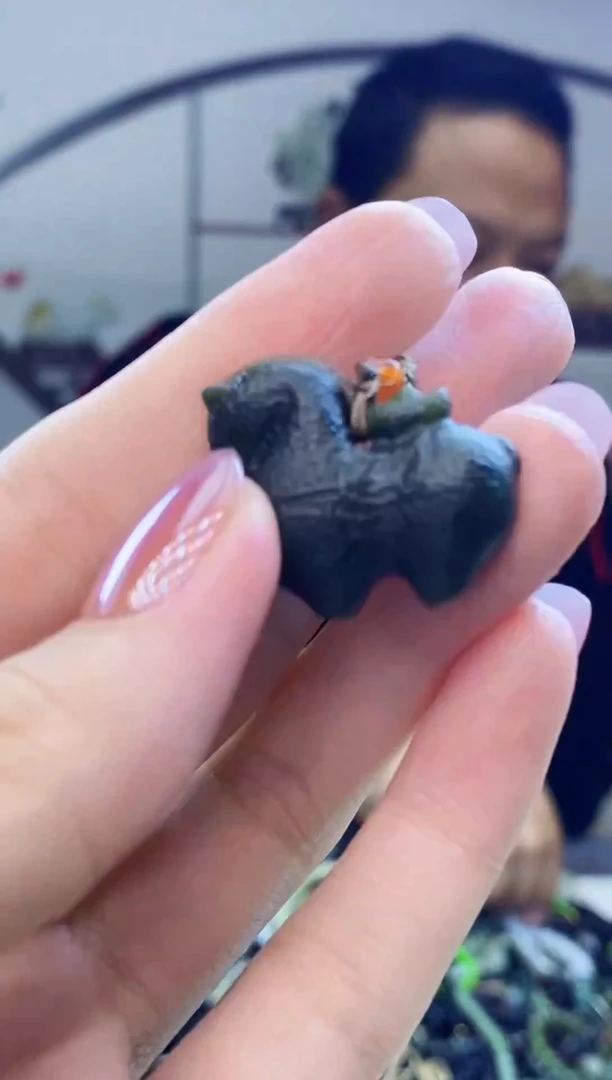 颈饰未镶嵌和田玉多样性发拍一发一