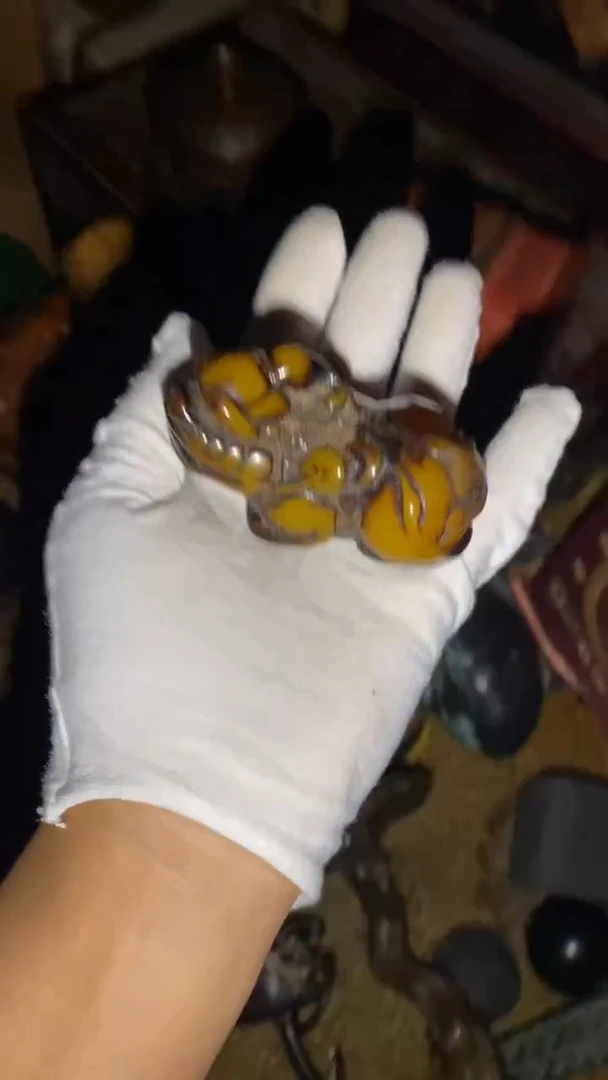 香榧木一一一一一一一一福利