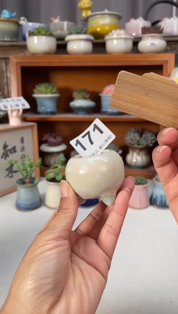 瓷片171小芳直播编号