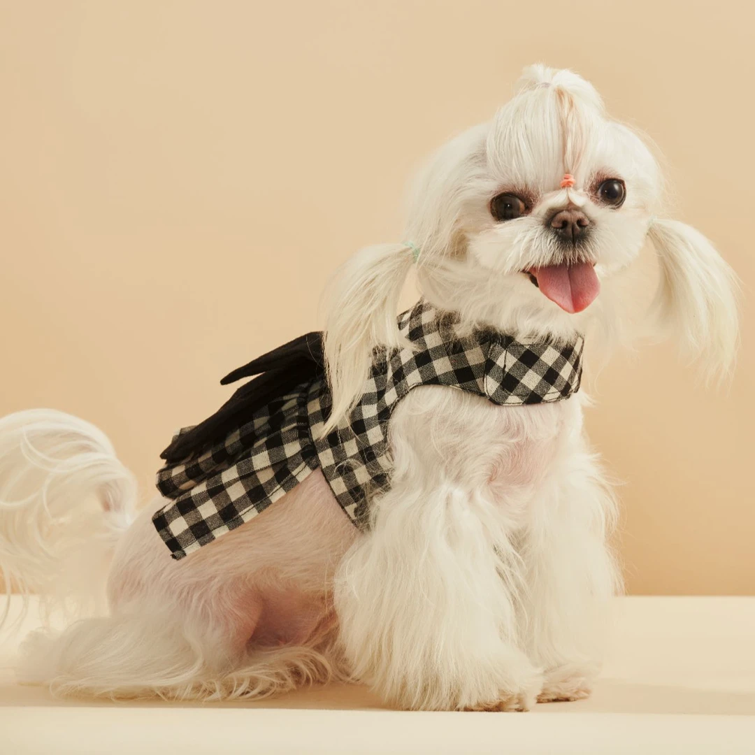 黑白格调·优雅蝶舞宠物胸背帽子