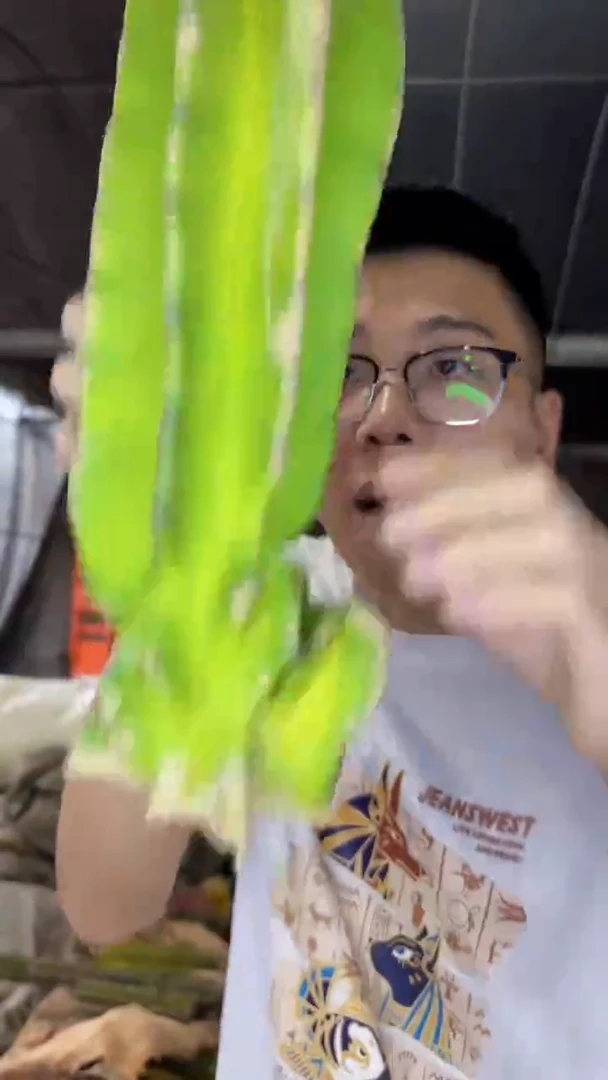 20-30cm 象腿柱【无根】