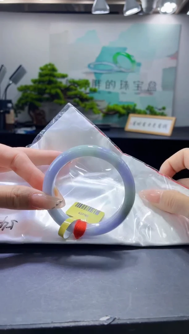未镶嵌手镯翡翠2