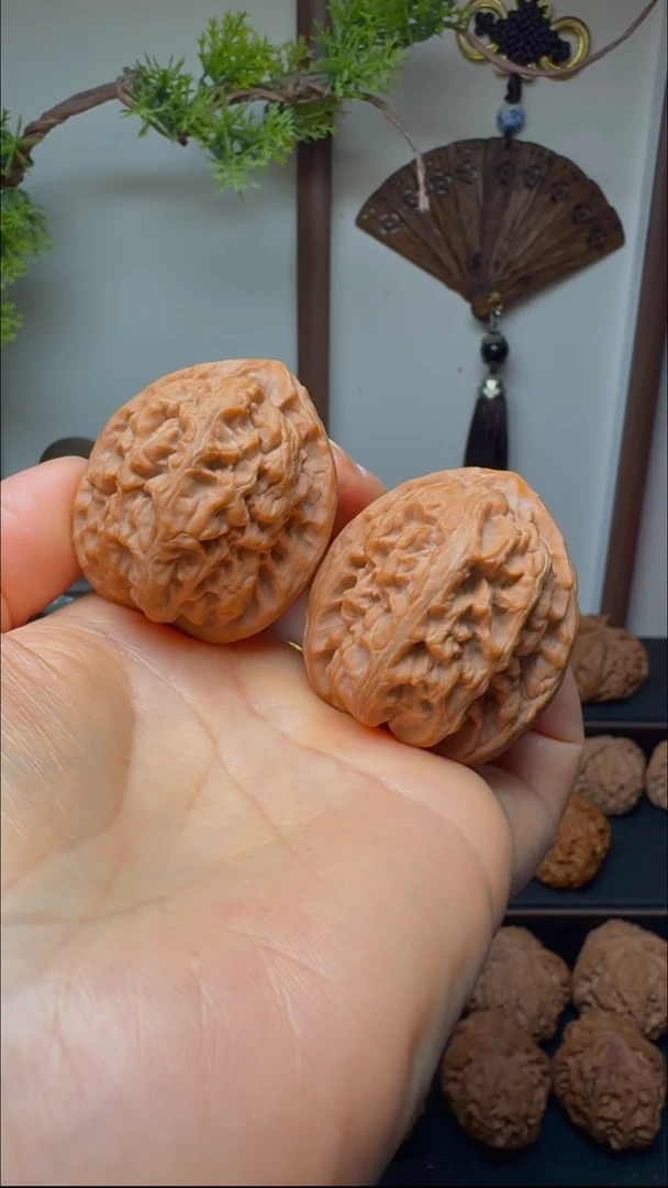 把件文玩核桃红锦锂货头 肚40