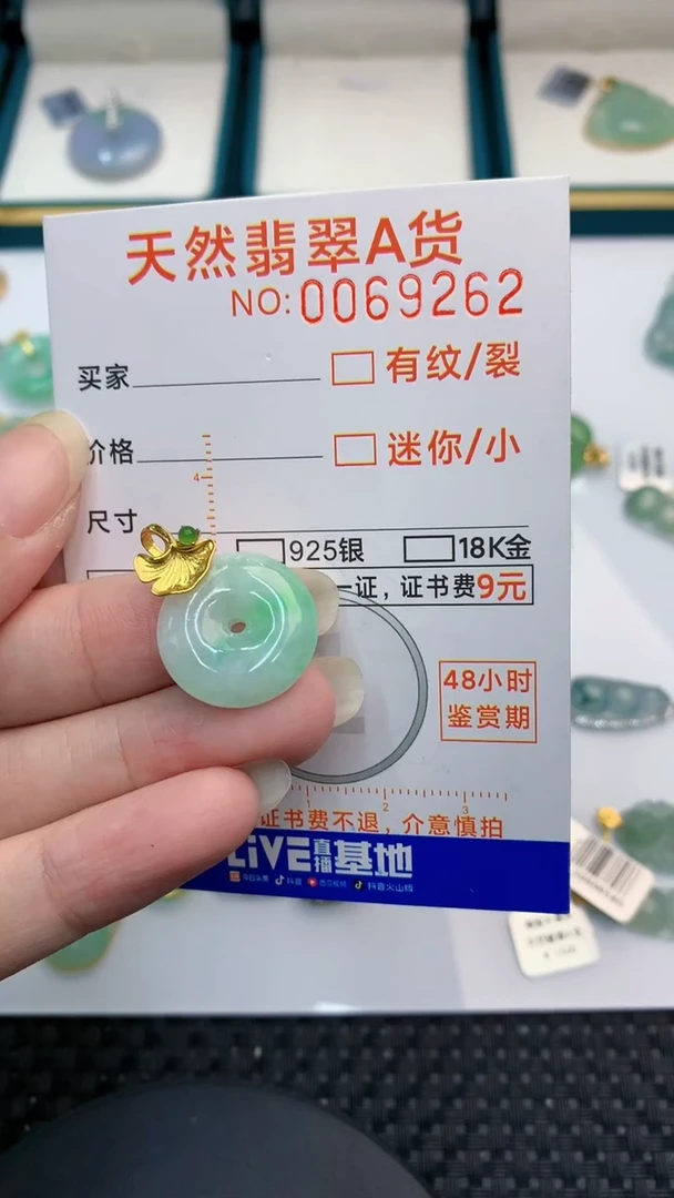 【闪购商品】翡翠颈饰银S925镶嵌            8