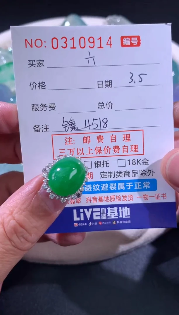 【闪购商品】翡翠颈饰未镶嵌六（镶嵌费用）