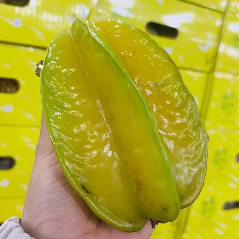 甜星星杨桃35 900g