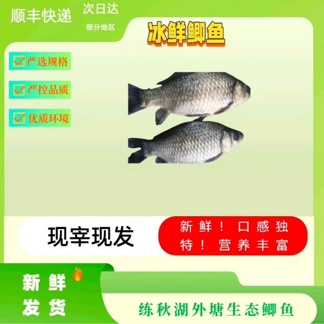 青浦本地黑背鲫鱼350g*2条