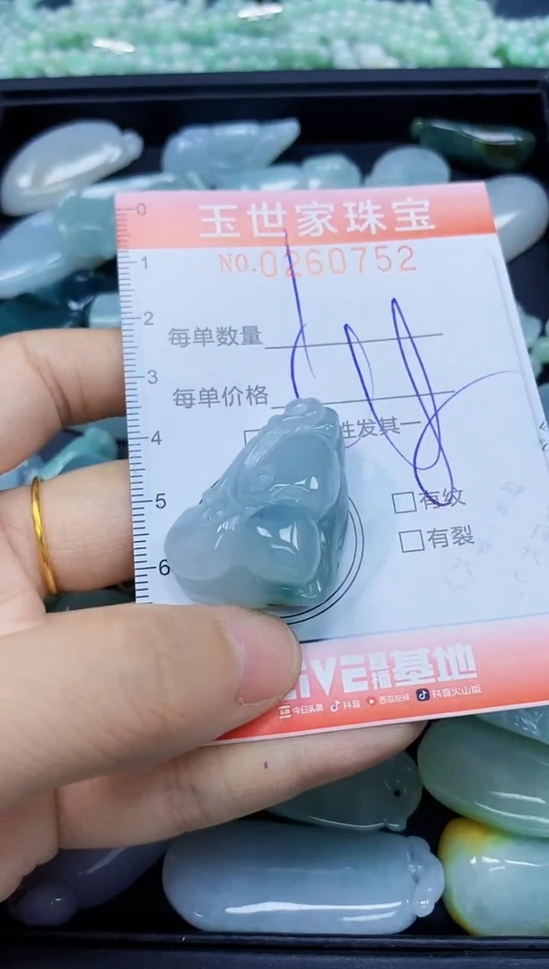 翡翠未镶嵌颈饰闪购0279752