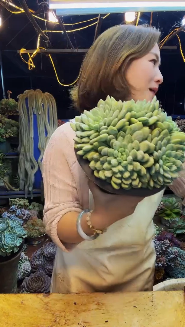 百达翡翠一物一拍脱土包邮