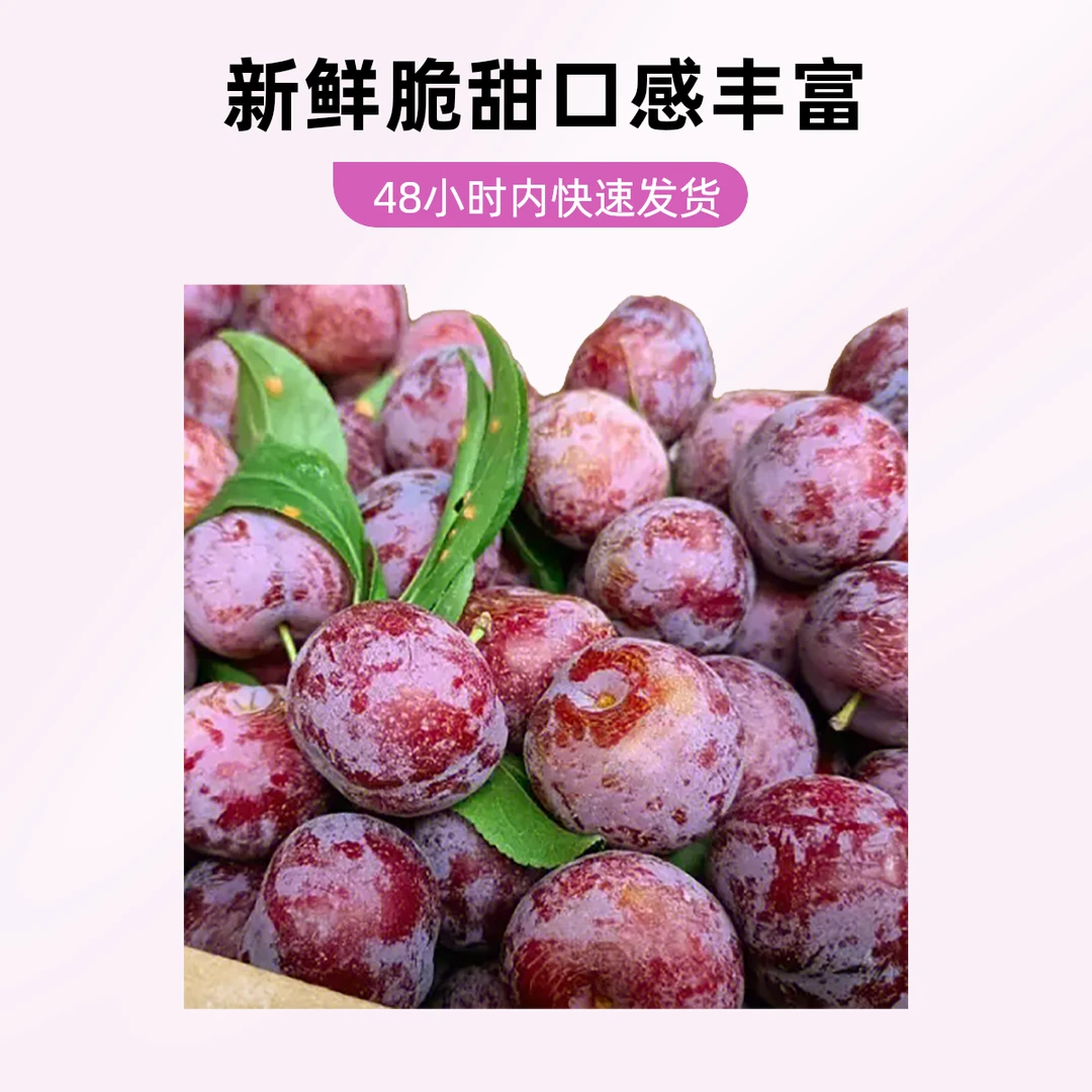 青红脆李 紫皮黄肉 脆得崩牙