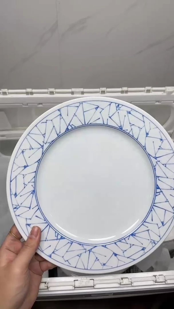 【闪购商品】5194回流瓷器默认微瑕，18.8包邮