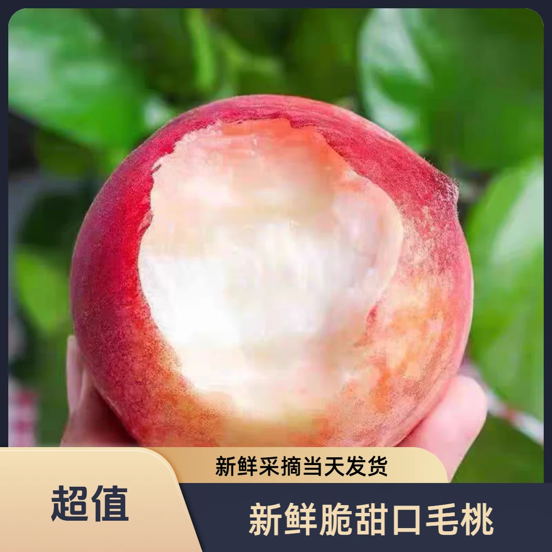 【精选脆甜口毛桃】新鲜采摘新鲜发货 又脆又甜的毛桃 包邮到家桃子同城送北京市