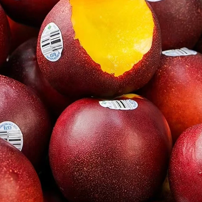 （花熊甄选）智利黄油桃首选爆甜